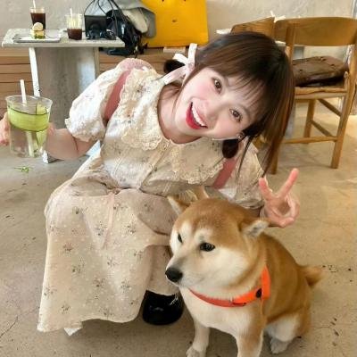 金爪女郎海报
